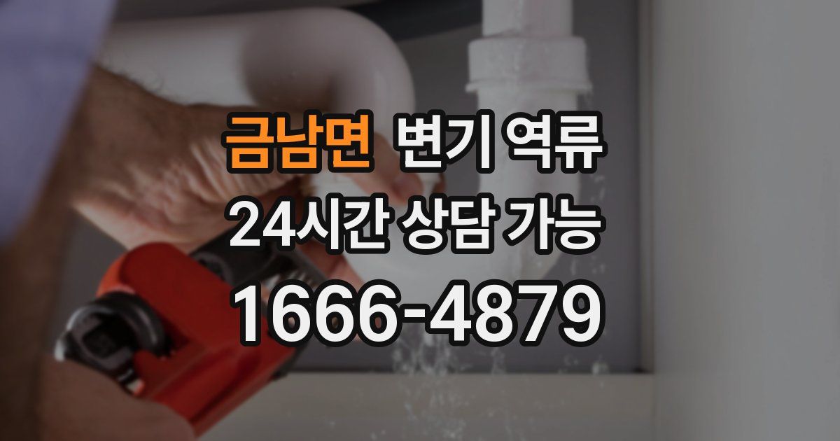 금남면 변기 역류