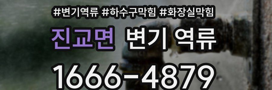 진교면 변기 역류