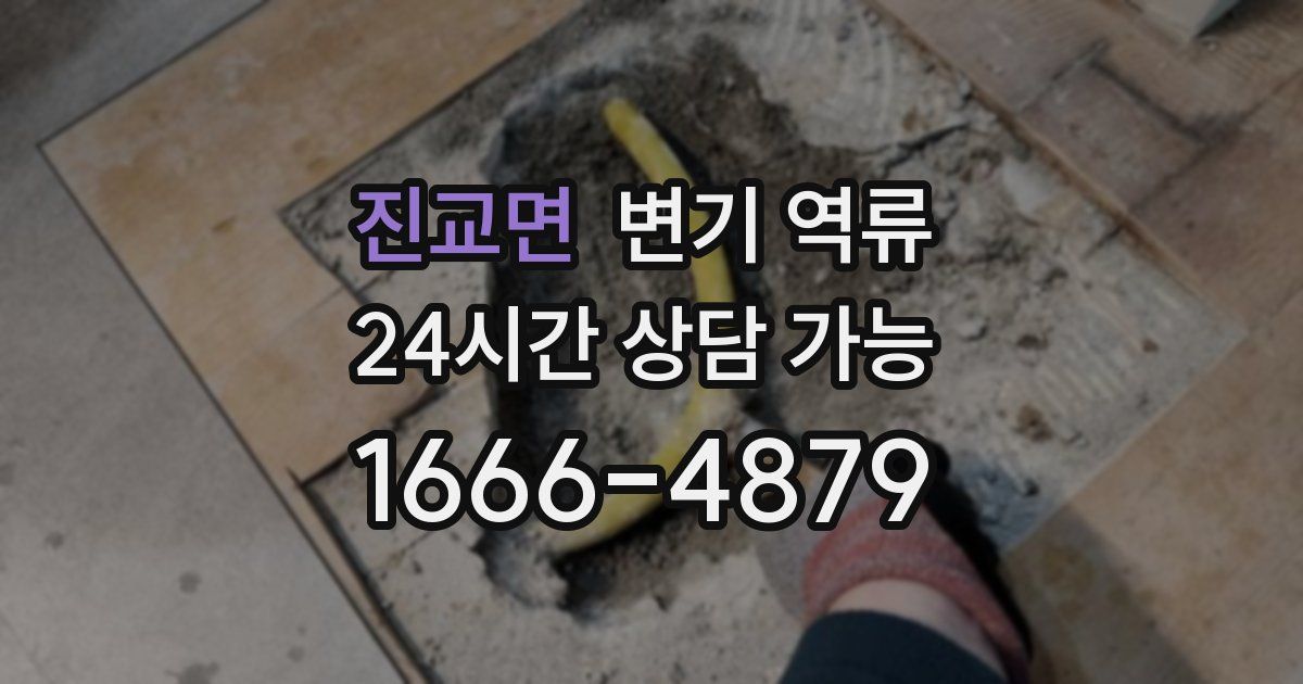 진교면 변기 역류