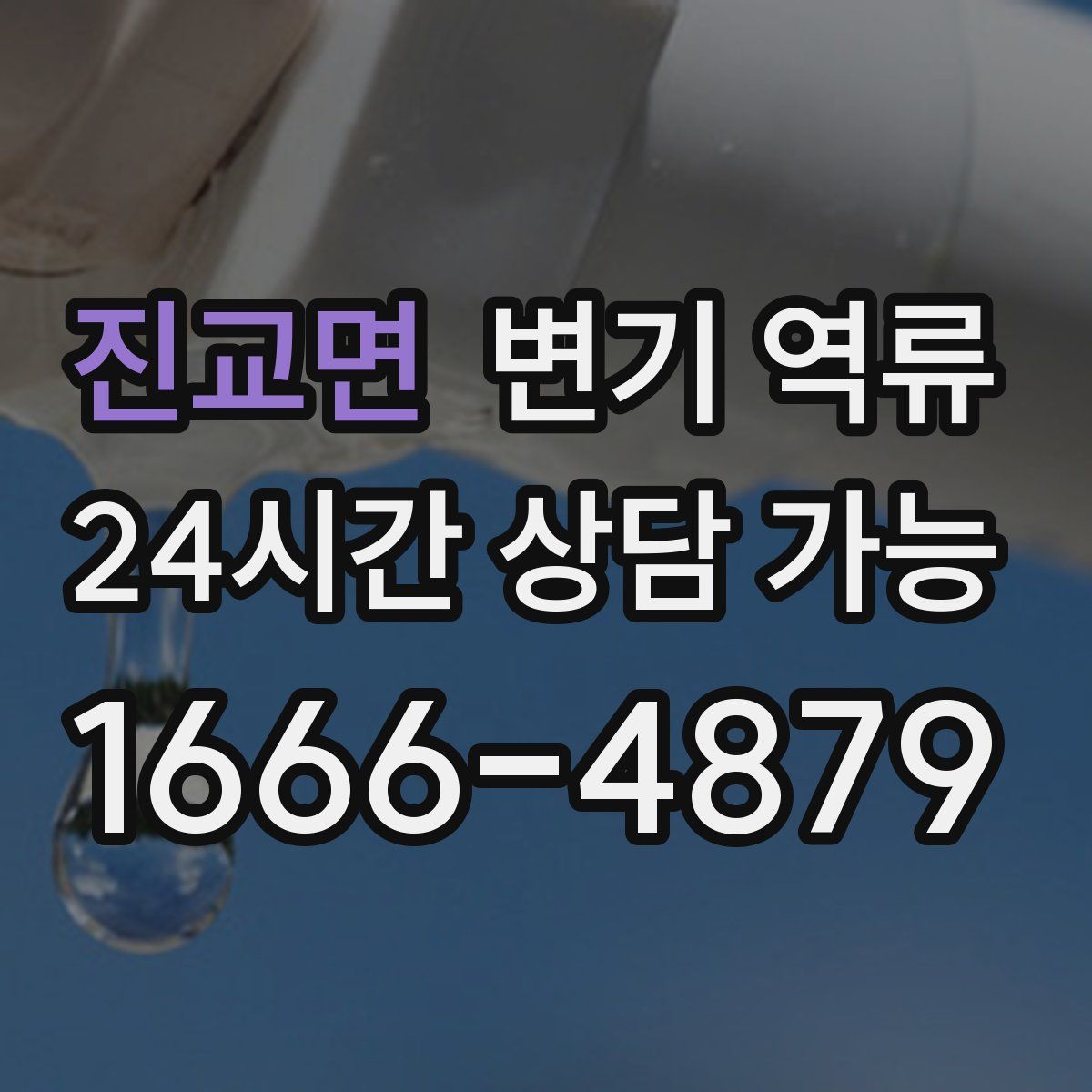 진교면 변기 역류