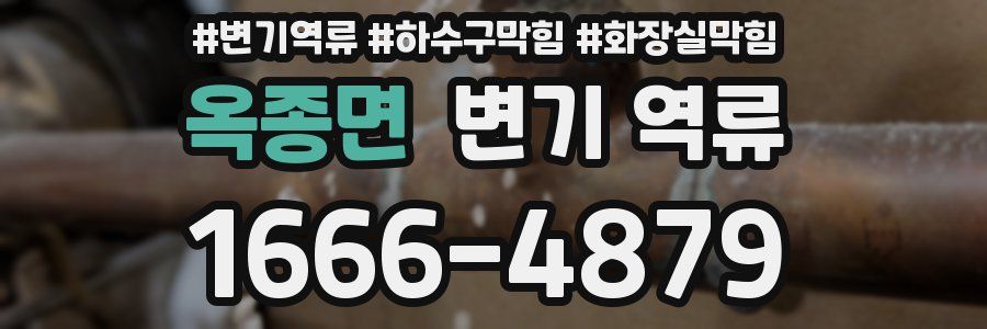 옥종면 변기 역류