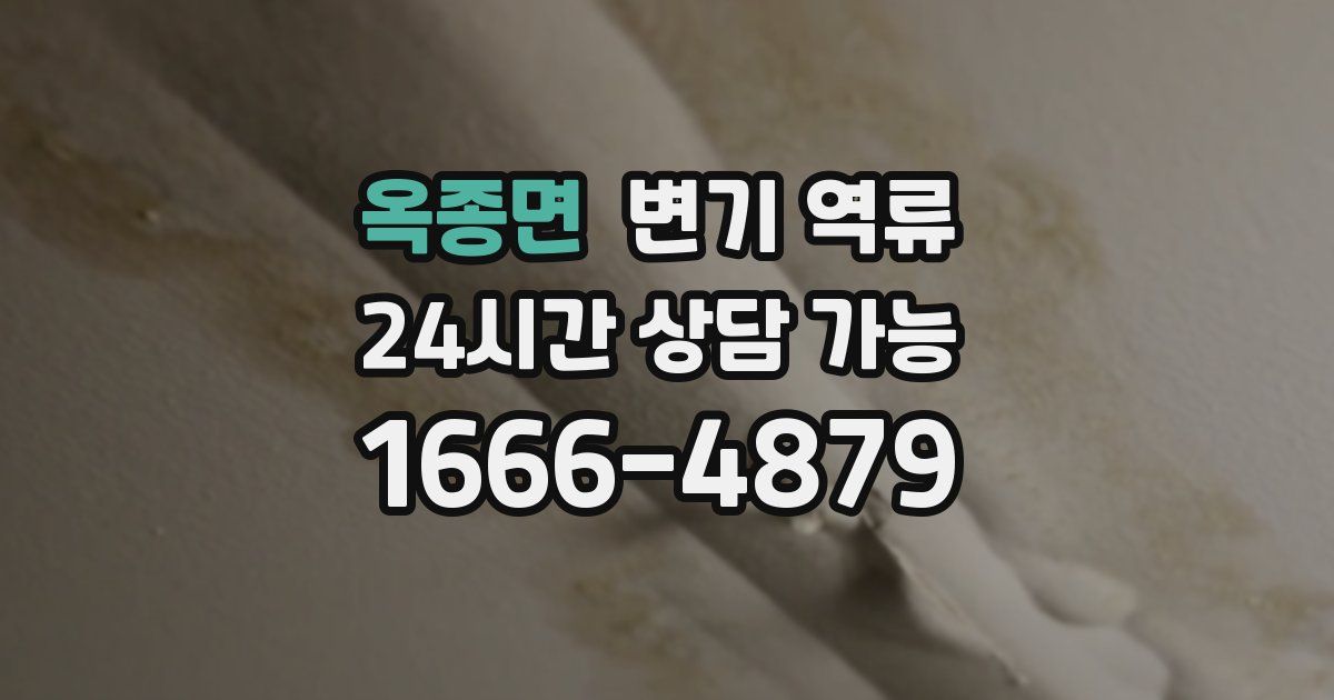 옥종면 변기 역류