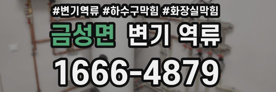 금성면 변기 역류