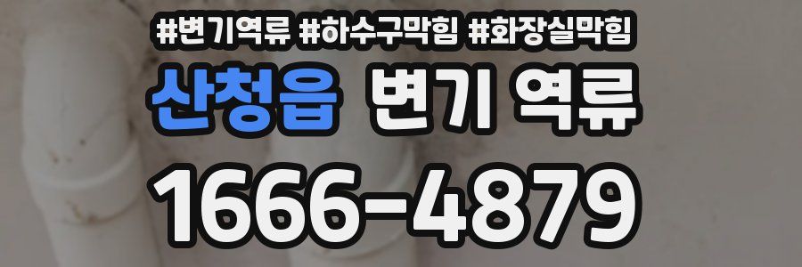 산청읍 변기 역류