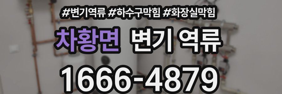 차황면 변기 역류