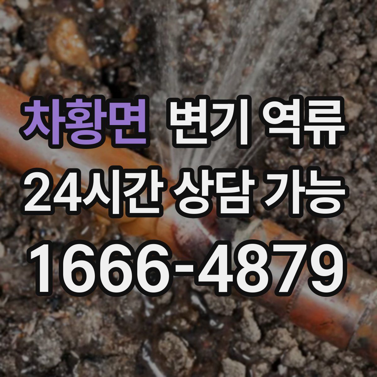 차황면 변기 역류