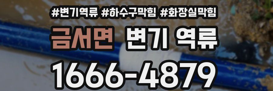 금서면 변기 역류