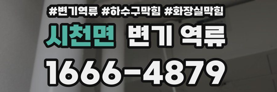 시천면 변기 역류