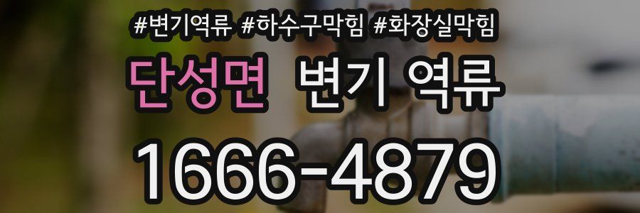 단성면 변기 역류