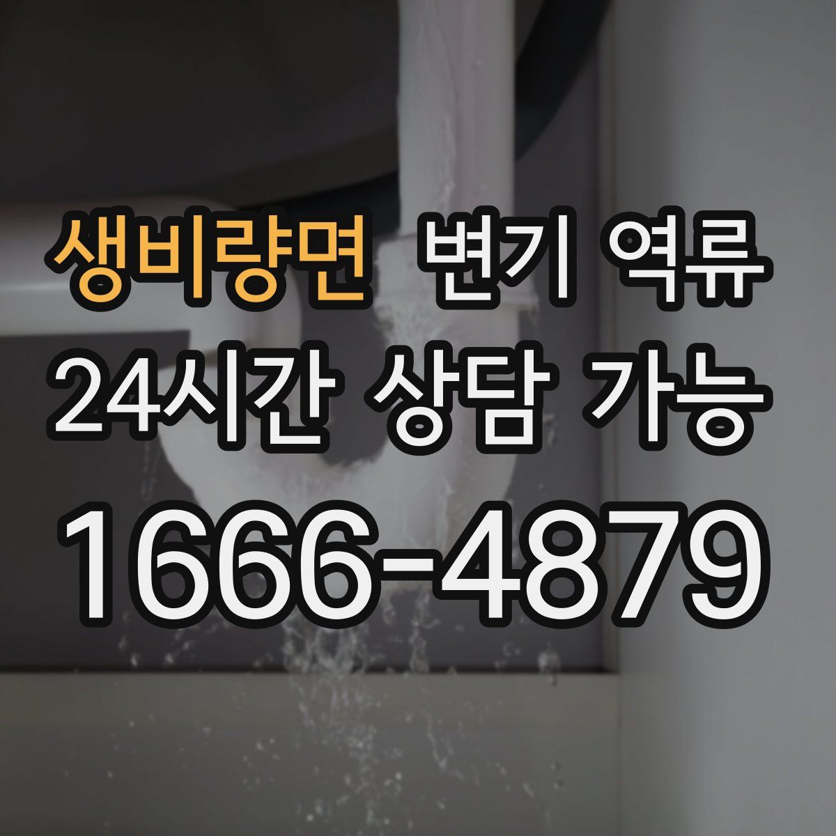 생비량면 변기 역류