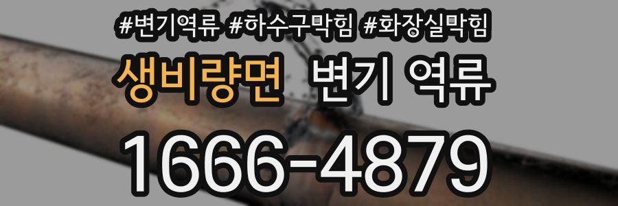 생비량면 변기 역류