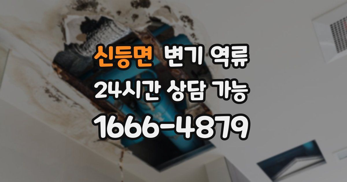 신등면 변기 역류