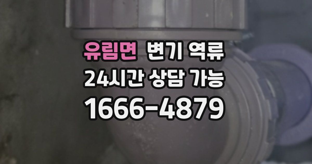 유림면 변기 역류