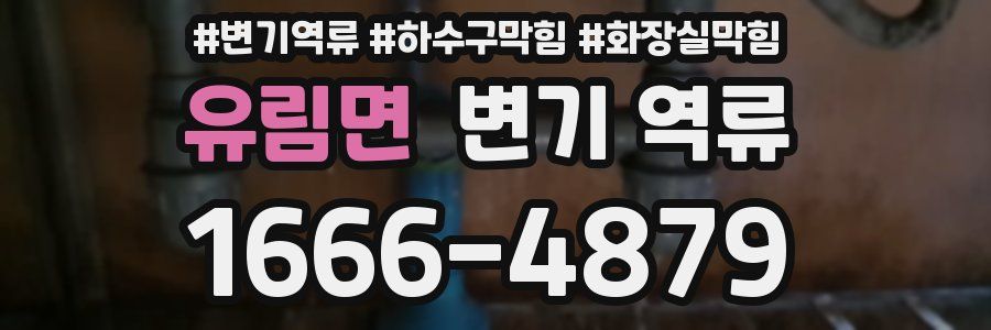 유림면 변기 역류