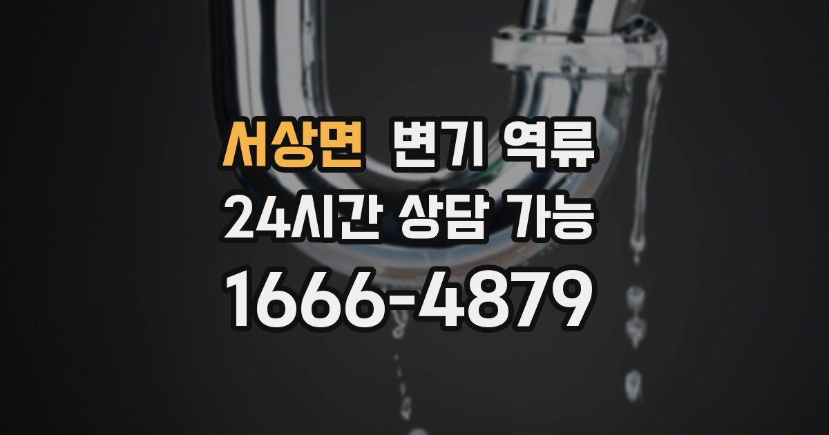 서상면 변기 역류