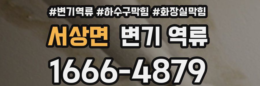 서상면 변기 역류