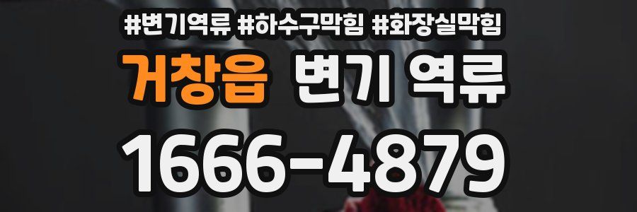 거창읍 변기 역류