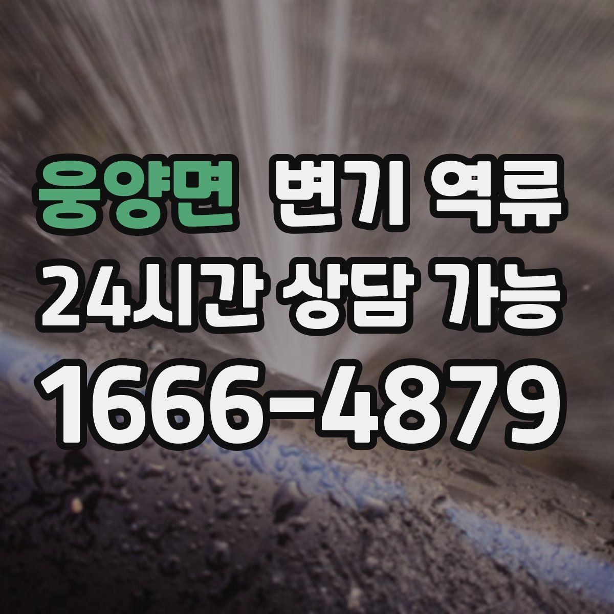 웅양면 변기 역류