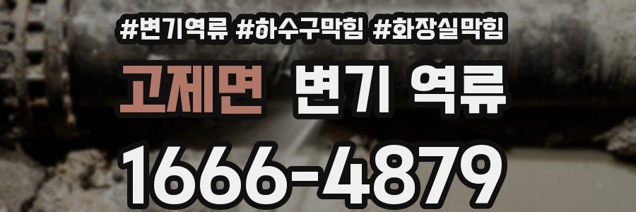 고제면 변기 역류
