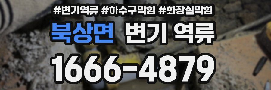 북상면 변기 역류