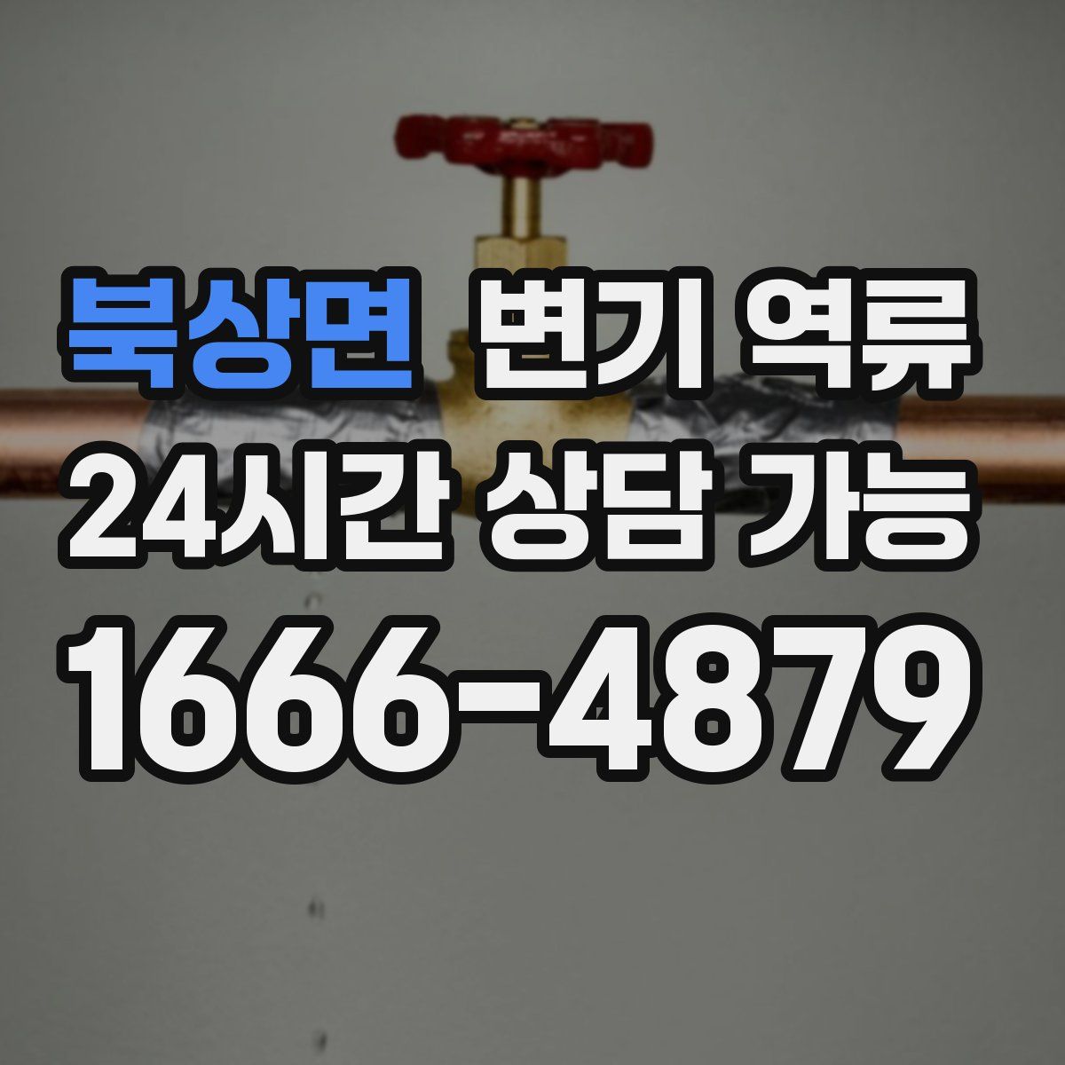 북상면 변기 역류