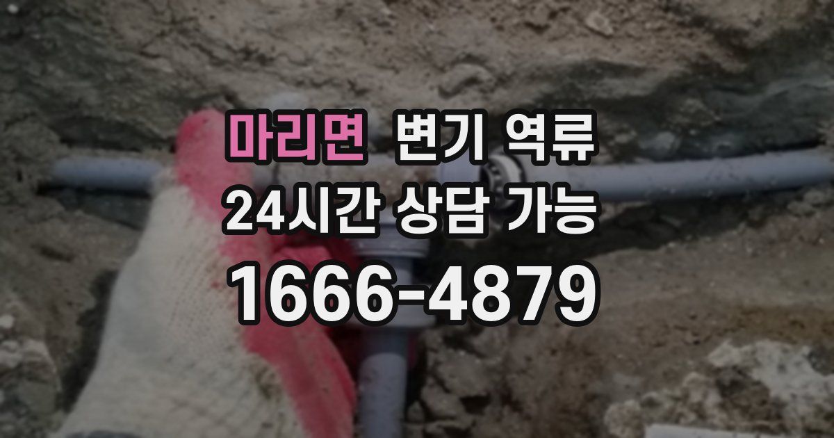마리면 변기 역류