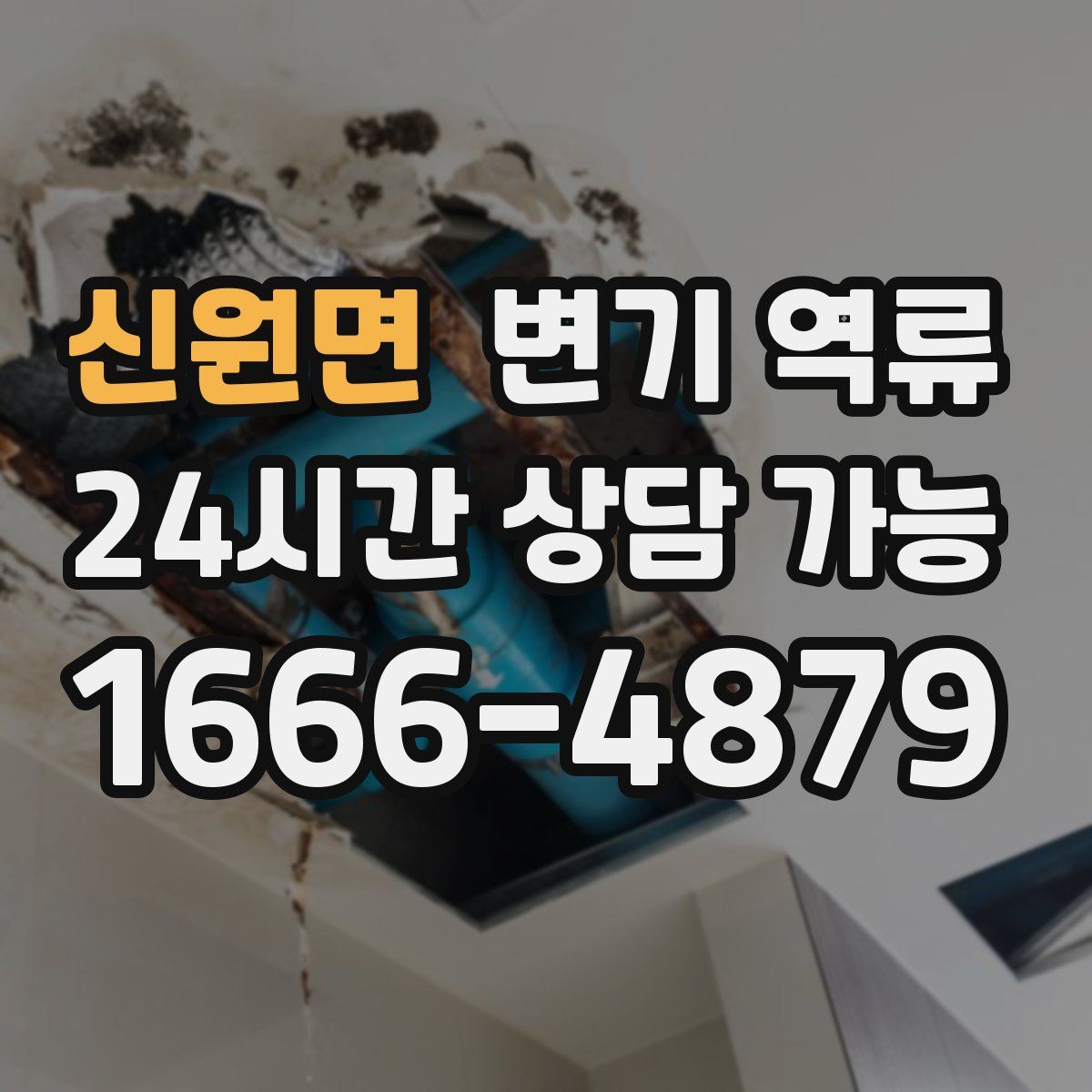 신원면 변기 역류