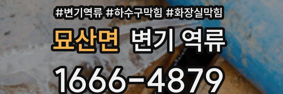 묘산면 변기 역류