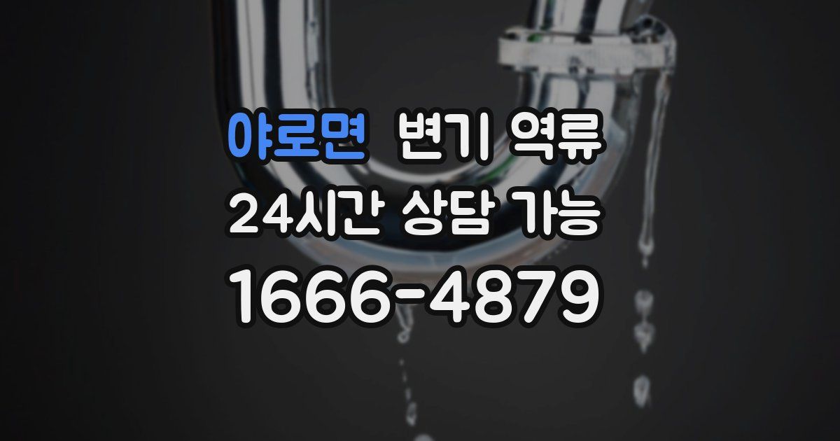 야로면 변기 역류