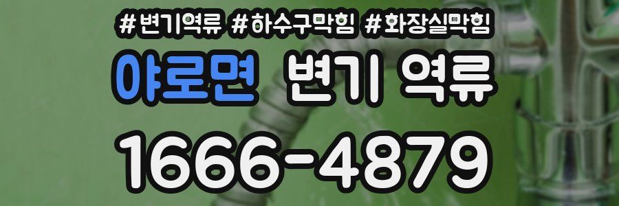 야로면 변기 역류