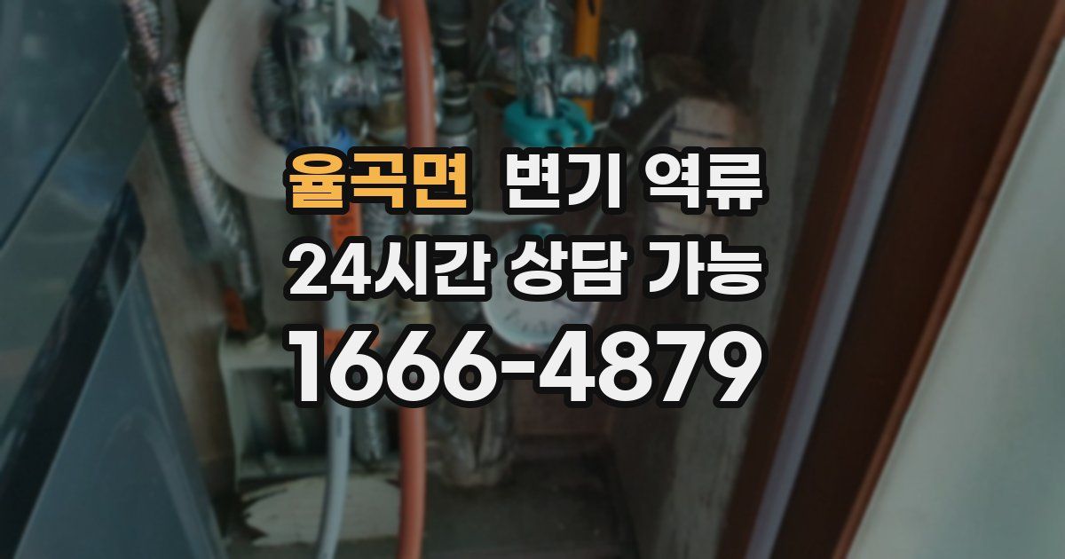 율곡면 변기 역류