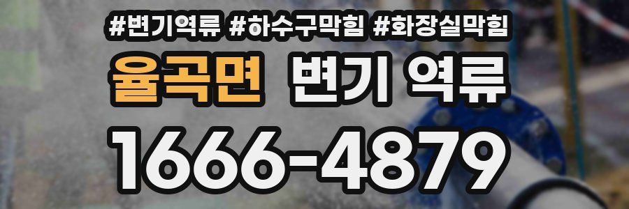 율곡면 변기 역류