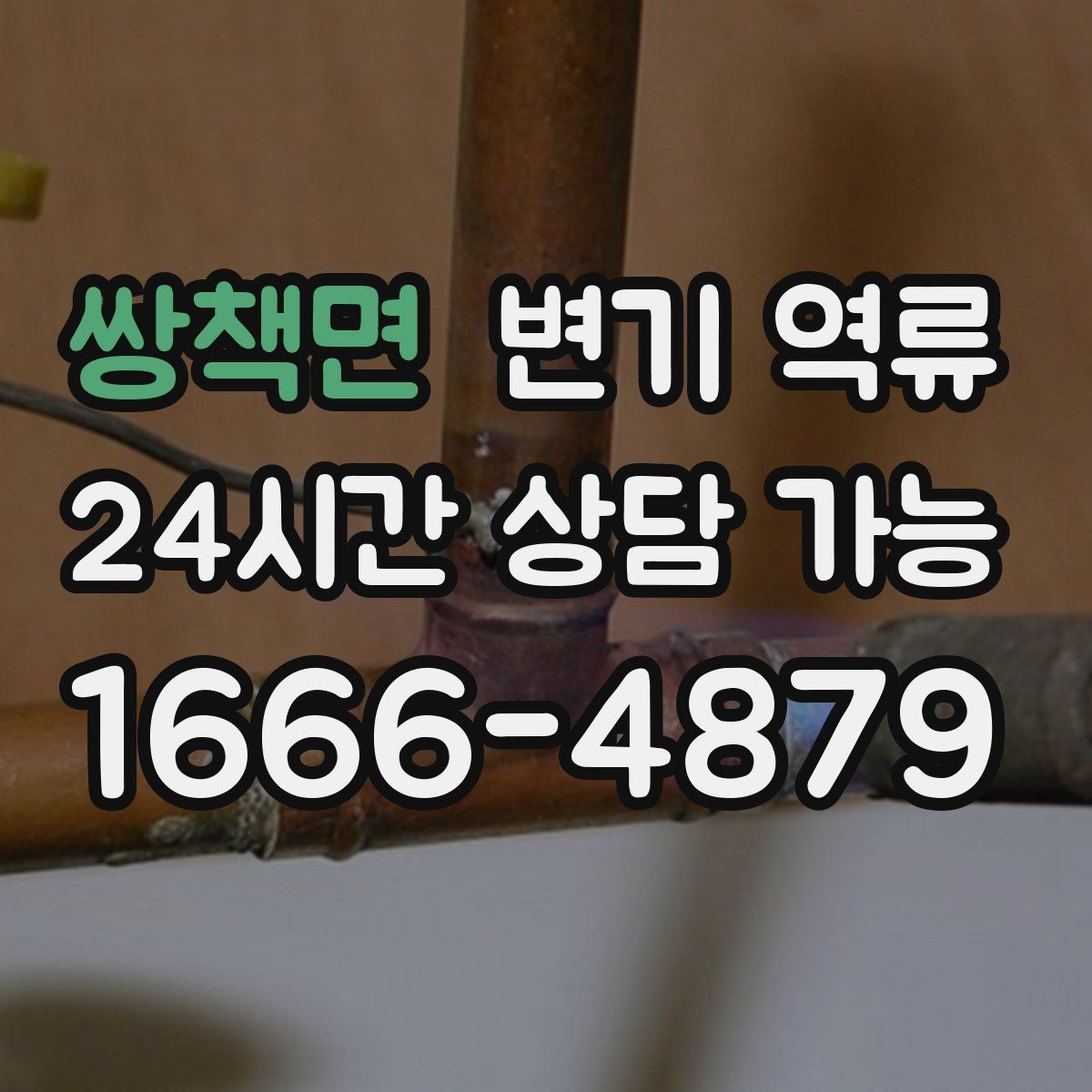 쌍책면 변기 역류