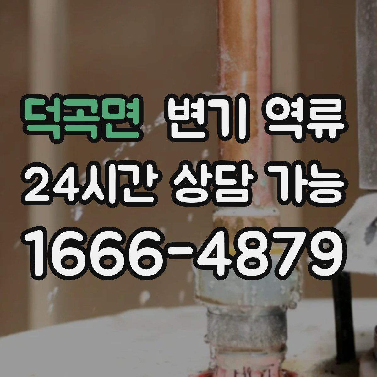 덕곡면 변기 역류