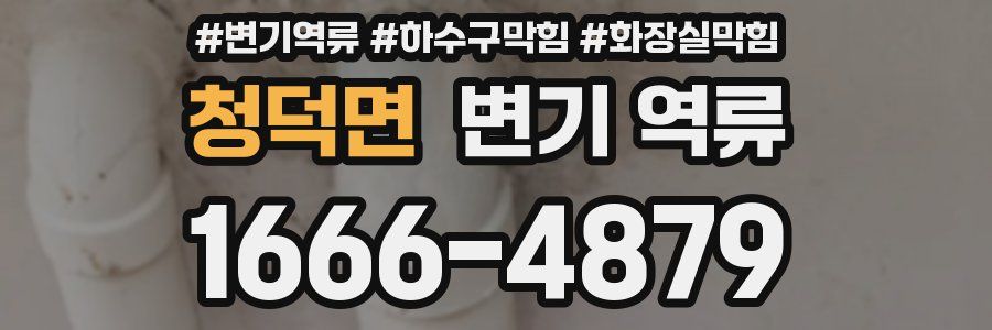 청덕면 변기 역류