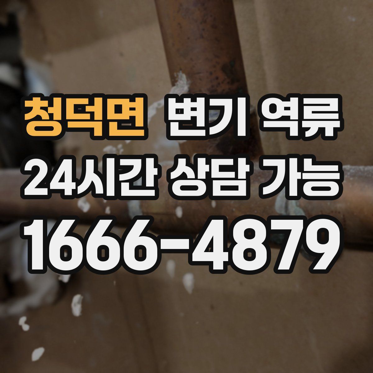 청덕면 변기 역류