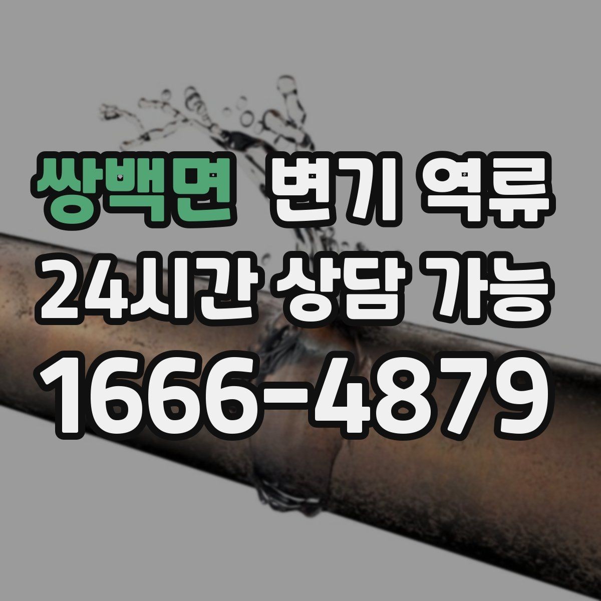 쌍백면 변기 역류 아래층 피해를 막기 위한 현장 대응 순서