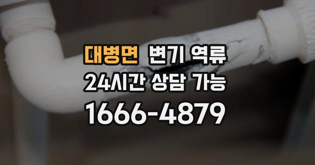 대병면 변기 역류