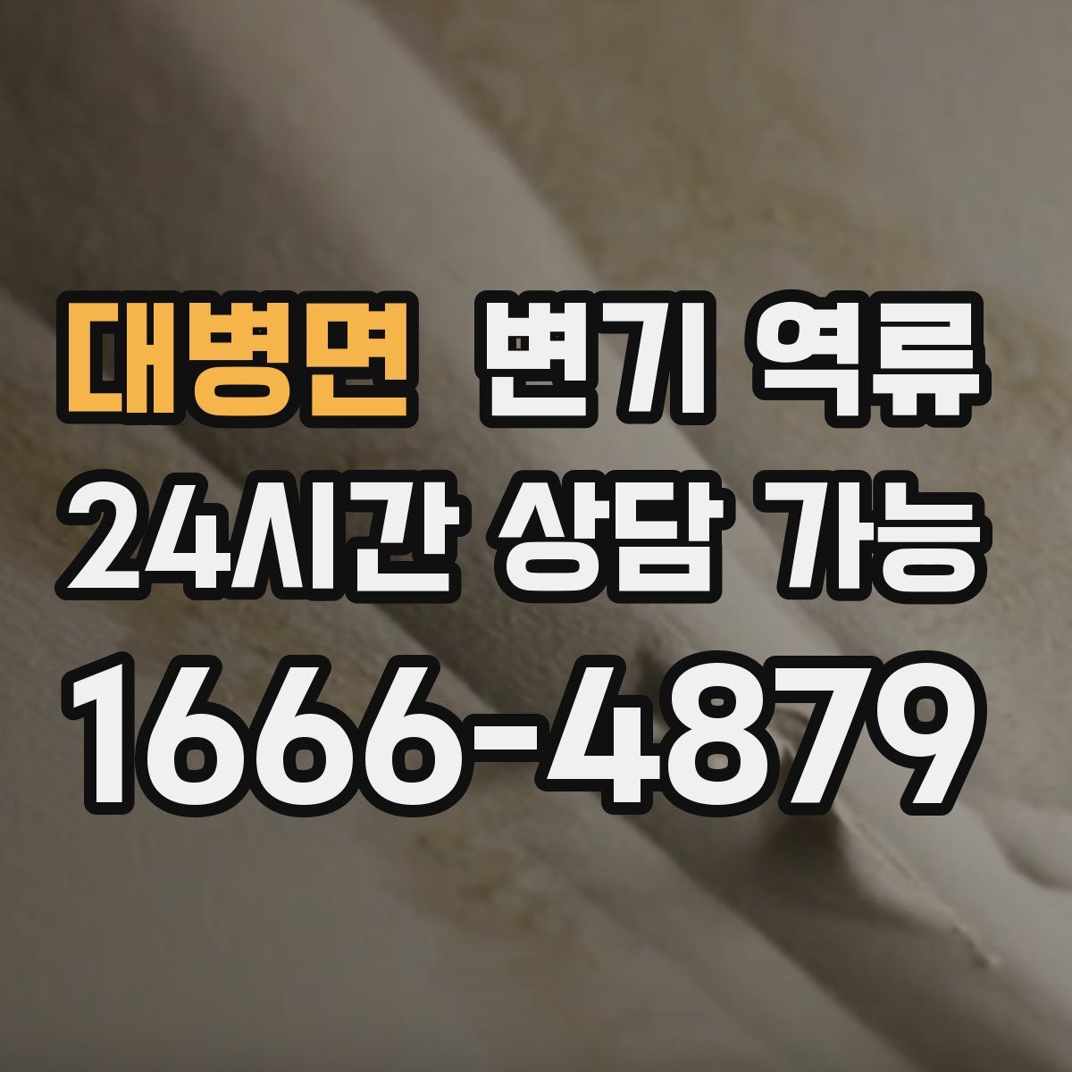 대병면 변기 역류