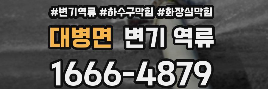 대병면 변기 역류