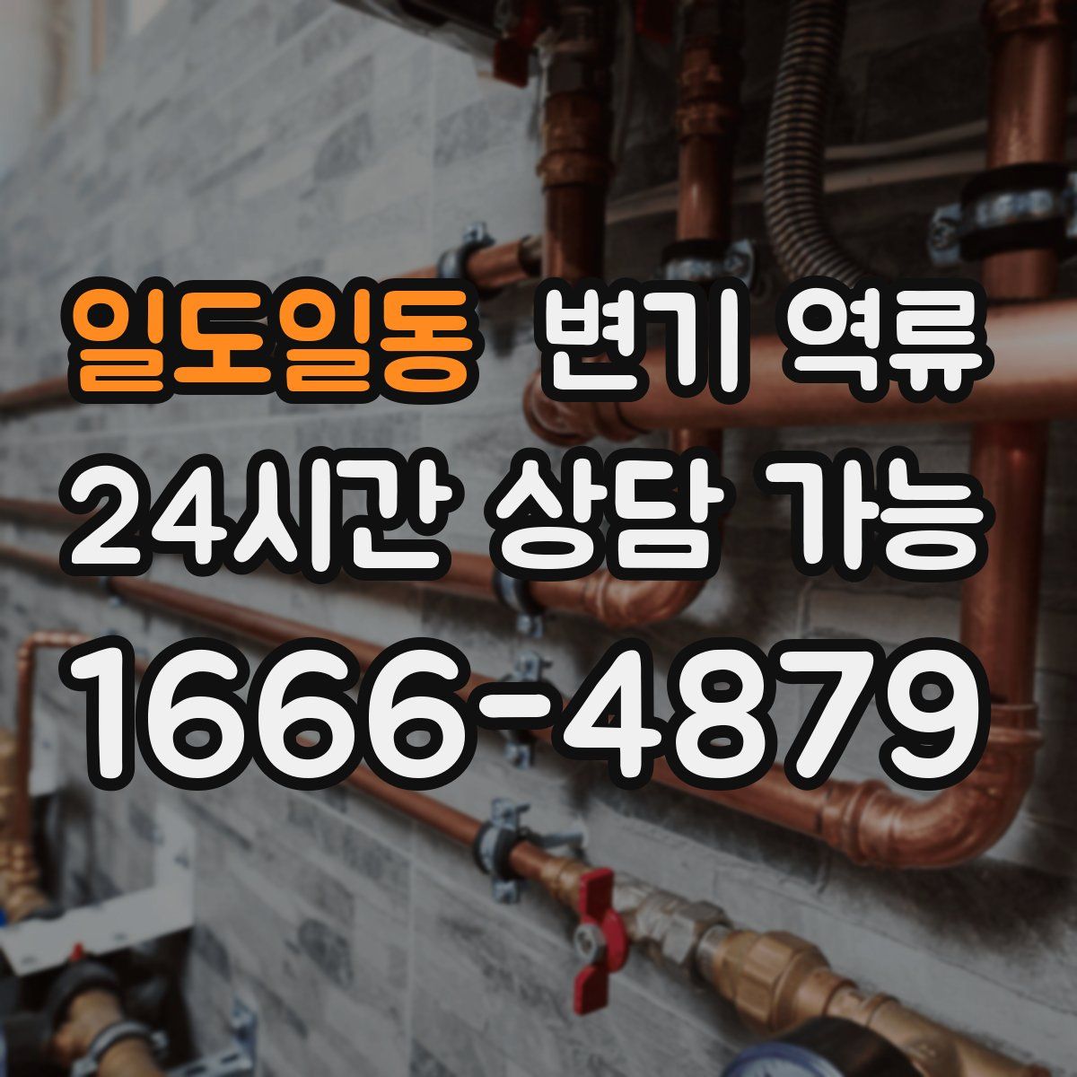 일도일동 변기 역류