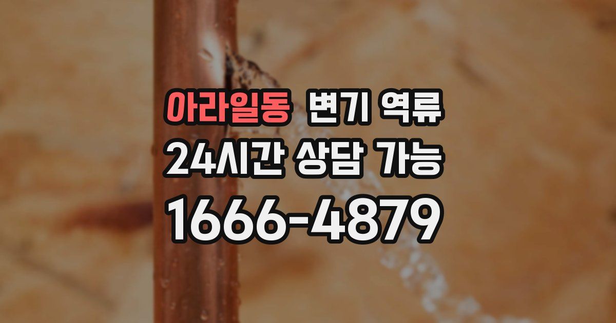 아라일동 변기 역류