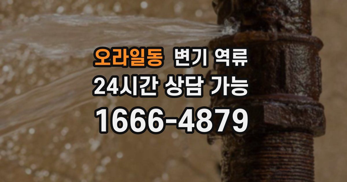 오라일동 변기 역류