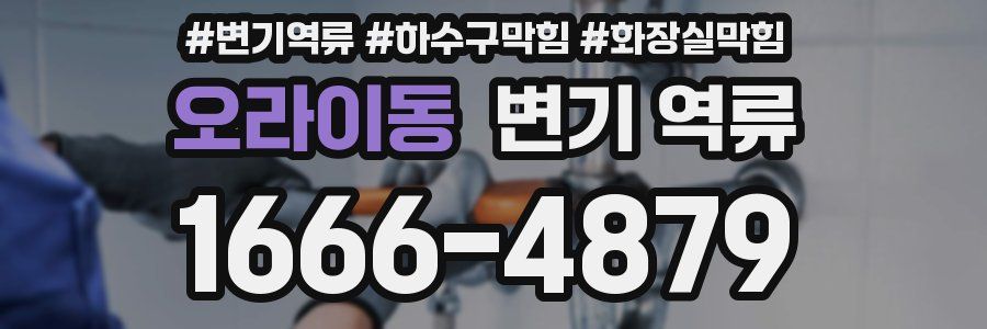 오라이동 변기 역류