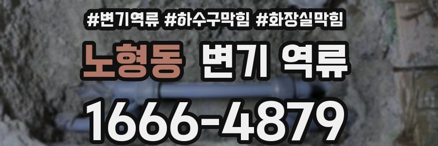 노형동 변기 역류