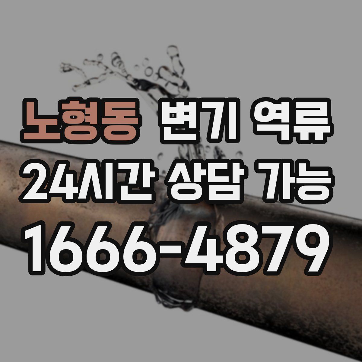 노형동 변기 역류