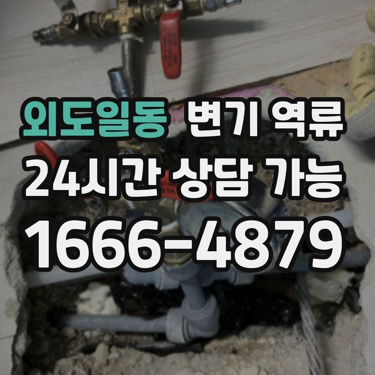 외도일동 변기 역류 같은 라인 세대까지 발생하면 어디를 의심할까