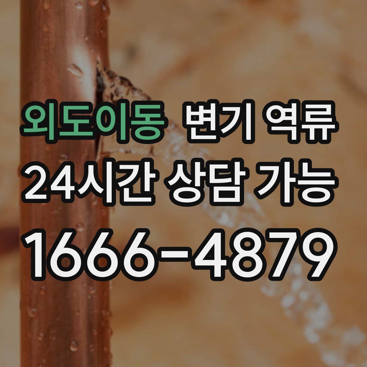 외도이동 변기 역류