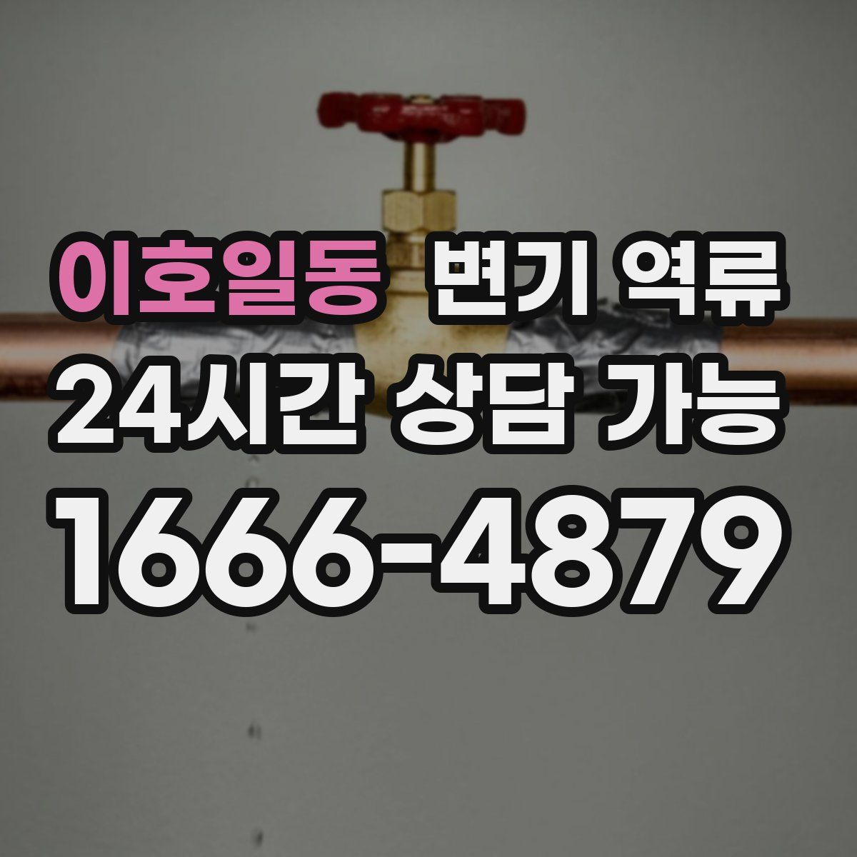 이호일동 변기 역류