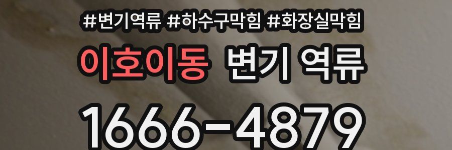 이호이동 변기 역류